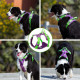 True Love Adjustable No Pull Dog Harness