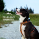 True Love Reflective H Shaped Dog Harness