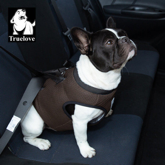 True Love Adjustable Dog Car Harness