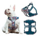 True Love Reflective Floral Dog Walking Harness