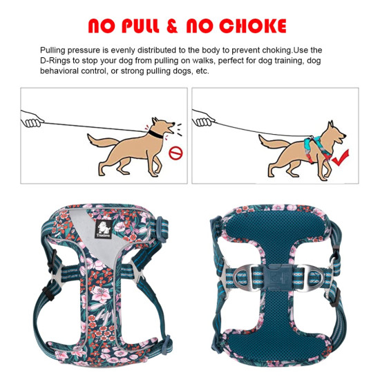 True Love Reflective Floral Dog Walking Harness