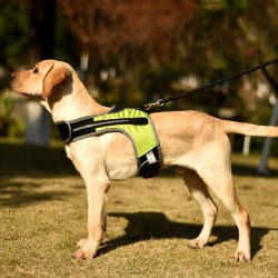 Dog Harness With Led Light Reflective Strip