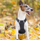 TAILUP Reflective Dog Vest