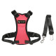 TAILUP Alphabet Style Dog Harness With Car Seat Belt