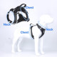 Explosion-Proof Dog Harness