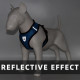 Reflective Breathable Mesh Dog Harness