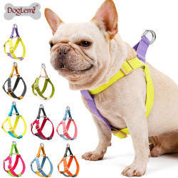 DOGLEMI Colorblock Walk Dog Harness