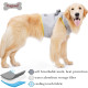 DOGLEMI Dog Cooling Harness