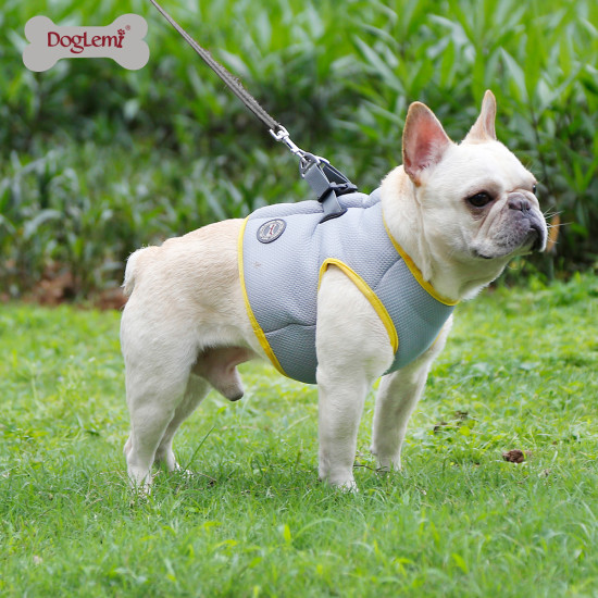 DOGLEMI Dog Cooling Harness