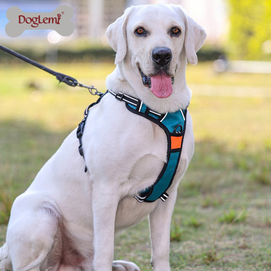 DOGLEMI Explosion Proof Dog Walking Harness