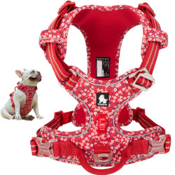 True Love 3M Reflective Dog Harness