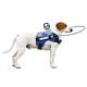 Harness For Blind Dogs