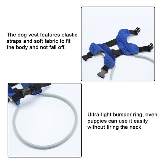 Harness For Blind Dogs