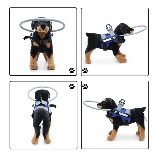 Harness For Blind Dogs