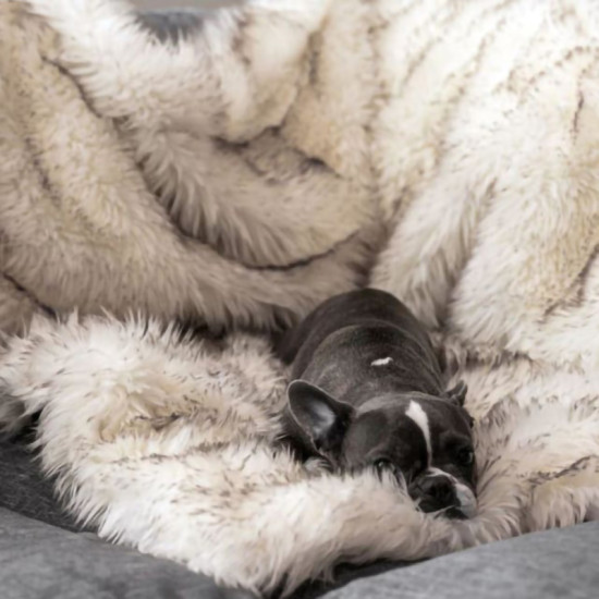 White Waterproof Dog Blanket