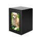 Pet Urns For Dogs