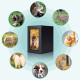 Pet Urns For Dogs