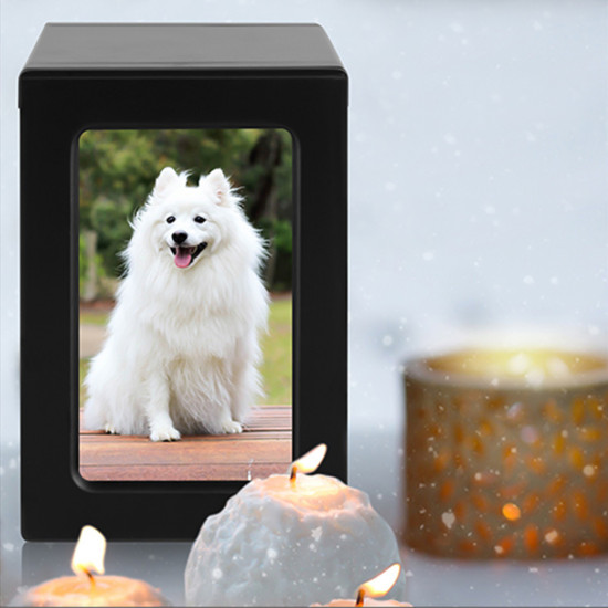 Pet Urns For Dogs