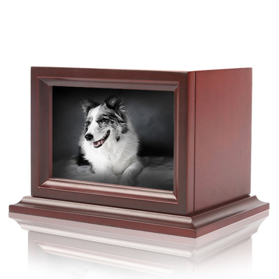 Dog Urns With Photo Frame